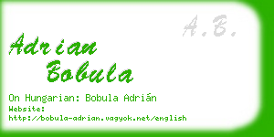 adrian bobula business card